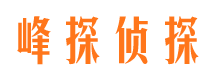 岳阳捉小三公司